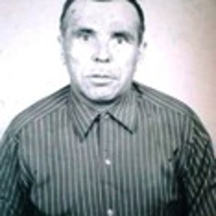 Докшин Павел Михайлович (1915-1985)