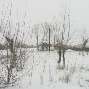 Вид из окна школы.